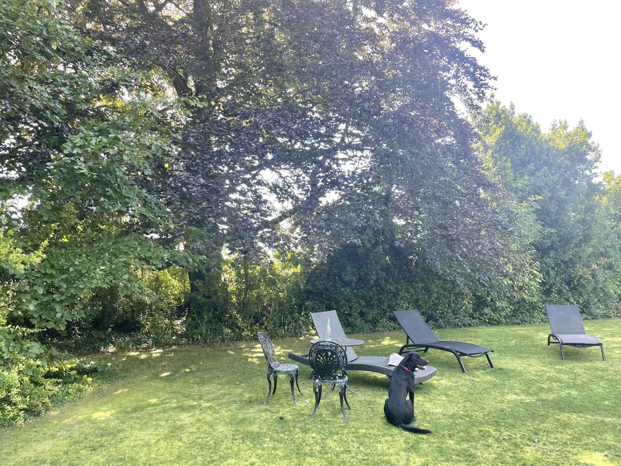 The Mount Somerton Retreat - Nr Bruton, Glastonbury, The Spectacular Wells Cathedral, Millfield School, Leonardo Helicopters, Yeovilton Экстерьер фото